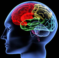 Resultado de imagen para Factores BÃ¡sicos Del desarrollo del Pensamiento